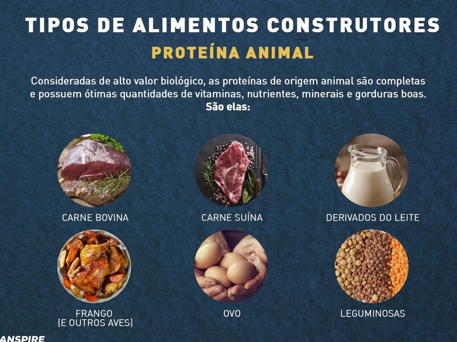 Exemplos de alimentos de origem animal e seus benefícios nutricionais