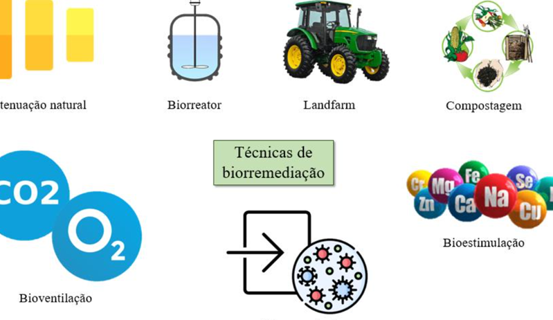 exemplos-de-biorremediacao-aplicacoes-e-tecnicas-utilizadas Exemplos de Biorremediação: Aplicações e Técnicas Utilizadas