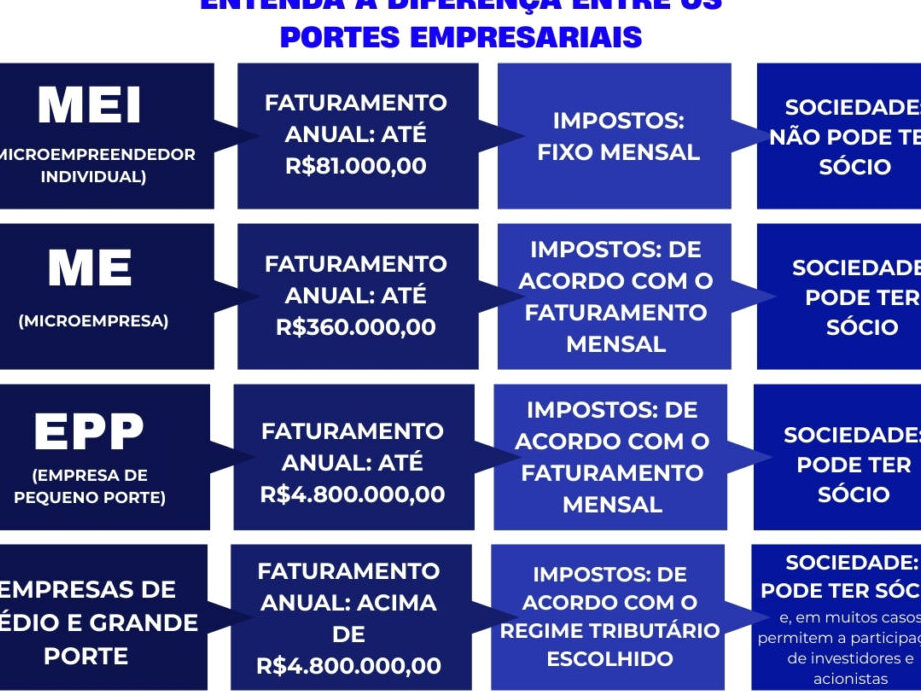exemplos-de-categoria-da-empresa-entenda-as-principais-classificacoes Exemplos de categoria da empresa: Entenda as principais classificações