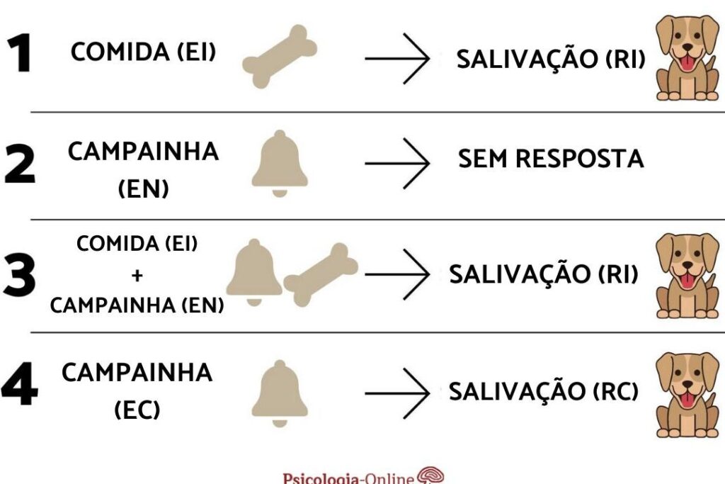 exemplos-de-condicionamento-classico-na-psicologia-e-no-dia-a-dia Exemplos de condicionamento clássico na psicologia e no dia a dia